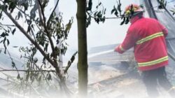Tiga Rumah Hangus Terbakar di Mapanget Barat, Damkar Manado Kerahkan 4 Unit